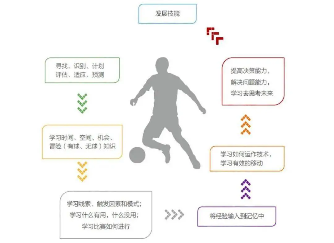 哪里有提供智能篮球训练指导的应用程序_1